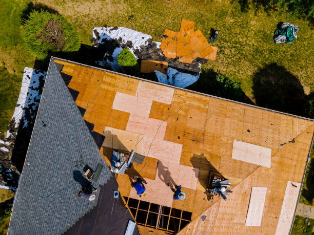Best Local Roofing Companies  in Ames Lake, WA