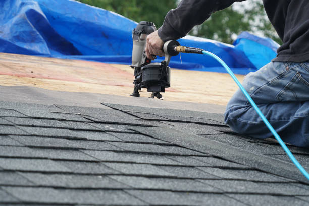 Best Metal Roofing Contractor  in Ames Lake, WA