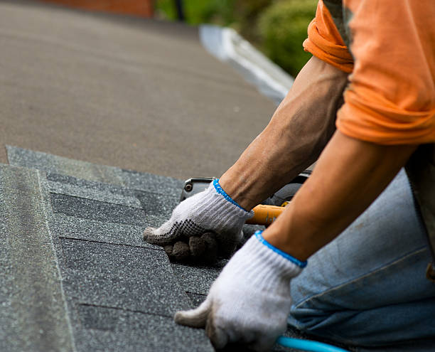 Best Roof Repair Services  in Ames Lake, WA
