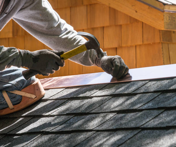 Best Roof Gutter Cleaning  in Ames Lake, WA